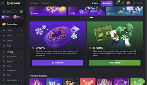 Understanding the Excitement Behind crash x slot